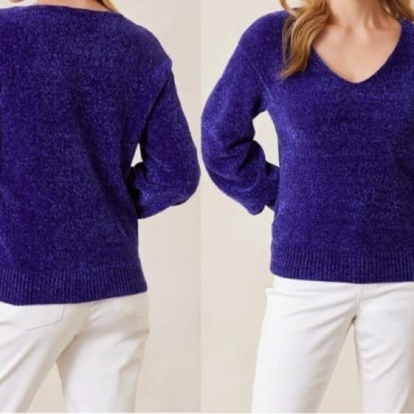 Liz Claiborne Sweaters - Liz Claiborne Women's V-Neck Sweater in Rich Blue